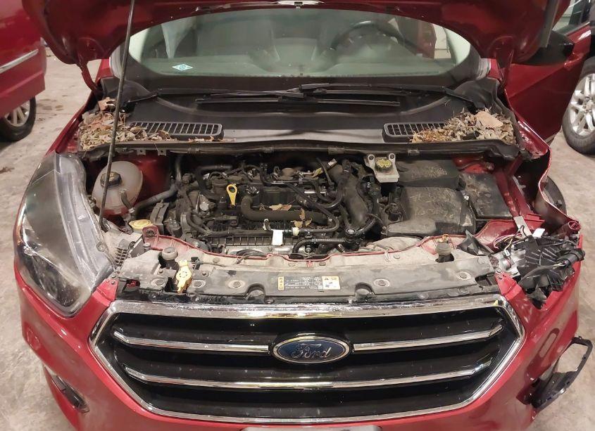 Photo 10 of 2019 Ford Escape SE (VIN 1FMCU0GD4KUA13495)