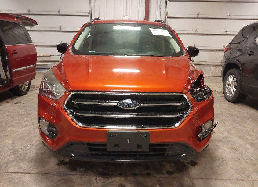 Photo 13 of 2019 Ford Escape SE (VIN 1FMCU0GD4KUA13495)