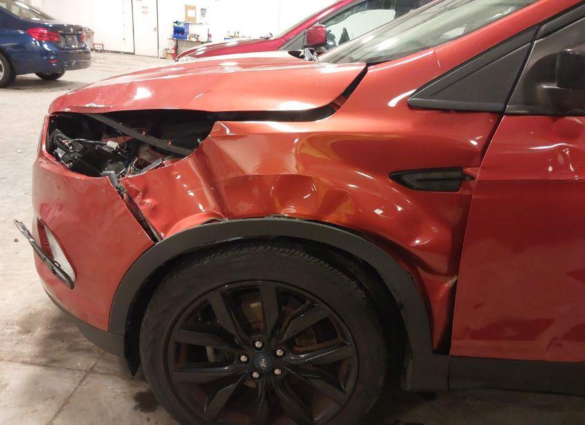 Photo 18 of 2019 Ford Escape SE (VIN 1FMCU0GD4KUA13495)