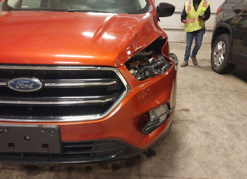 Photo 20 of 2019 Ford Escape SE (VIN 1FMCU0GD4KUA13495)