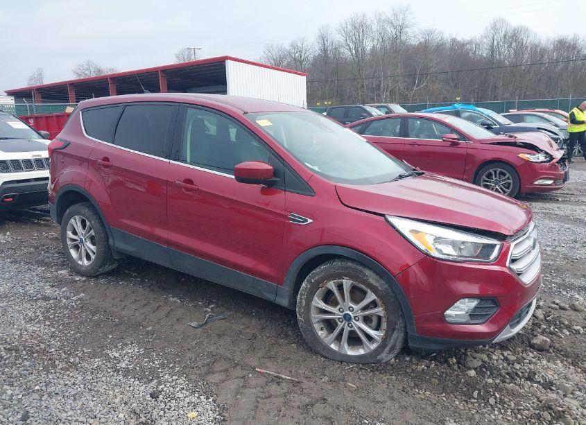 2019 Ford Escape SE (VIN 1FMCU0GD4KUA89900) main photo
