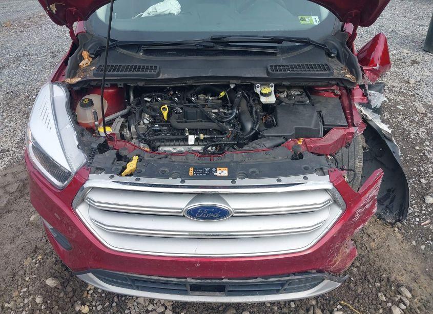 Photo 10 of 2019 Ford Escape SE (VIN 1FMCU0GD4KUA89900)