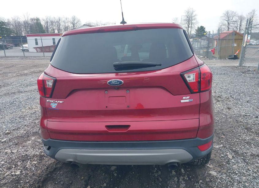Photo 17 of 2019 Ford Escape SE (VIN 1FMCU0GD4KUA89900)