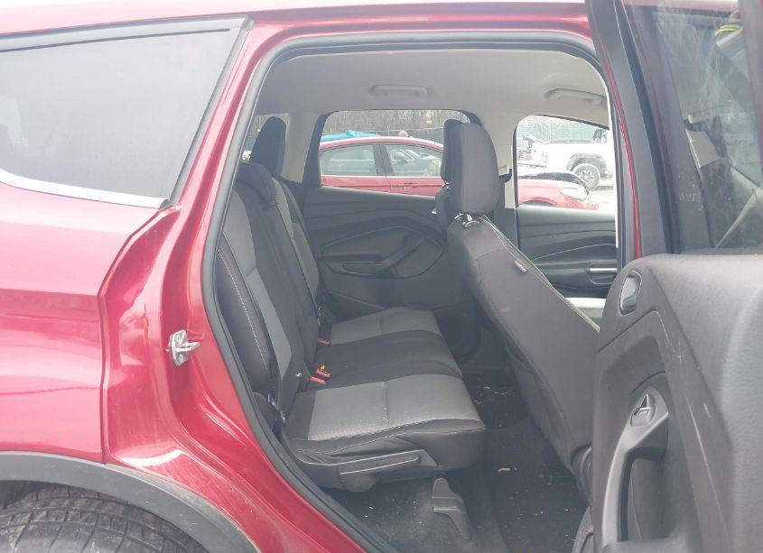 Photo 8 of 2019 Ford Escape SE (VIN 1FMCU0GD4KUA89900)