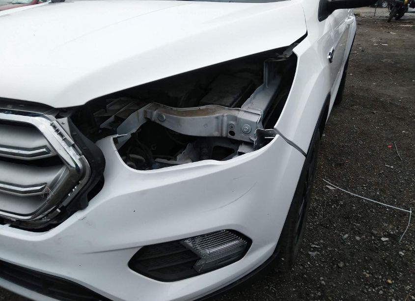 Photo 18 of 2019 Ford Escape SE (VIN 1FMCU0GD4KUB65017)