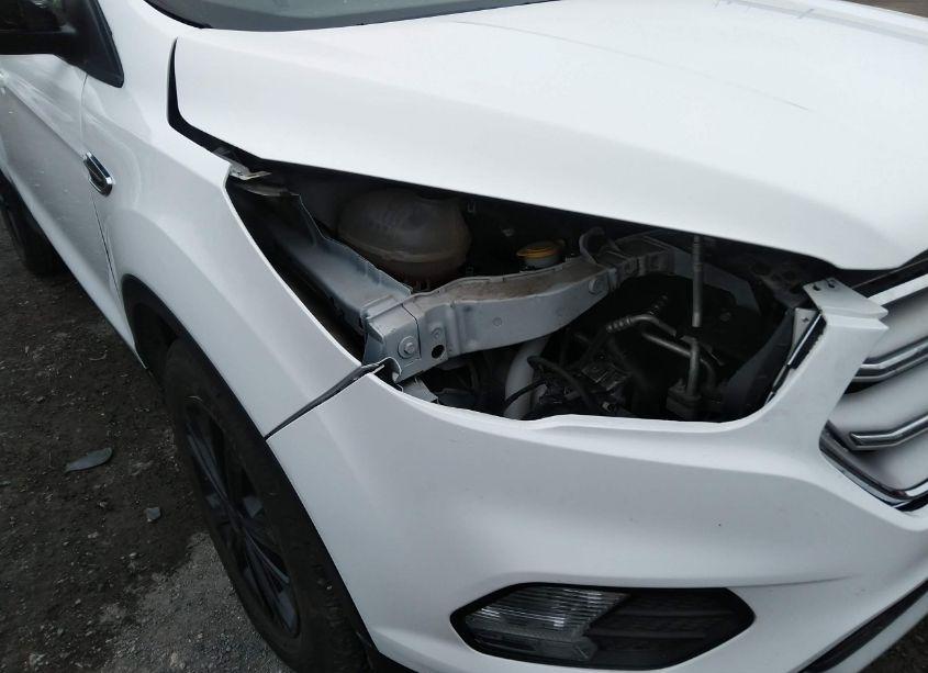 Photo 19 of 2019 Ford Escape SE (VIN 1FMCU0GD4KUB65017)