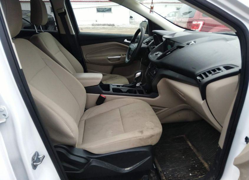 Photo 5 of 2019 Ford Escape SE (VIN 1FMCU0GD4KUB65017)