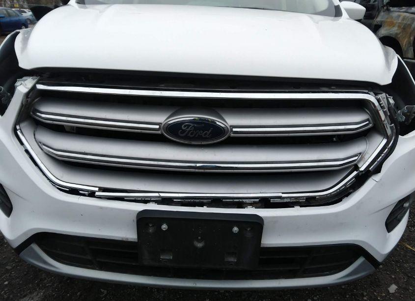 Photo 6 of 2019 Ford Escape SE (VIN 1FMCU0GD4KUB65017)