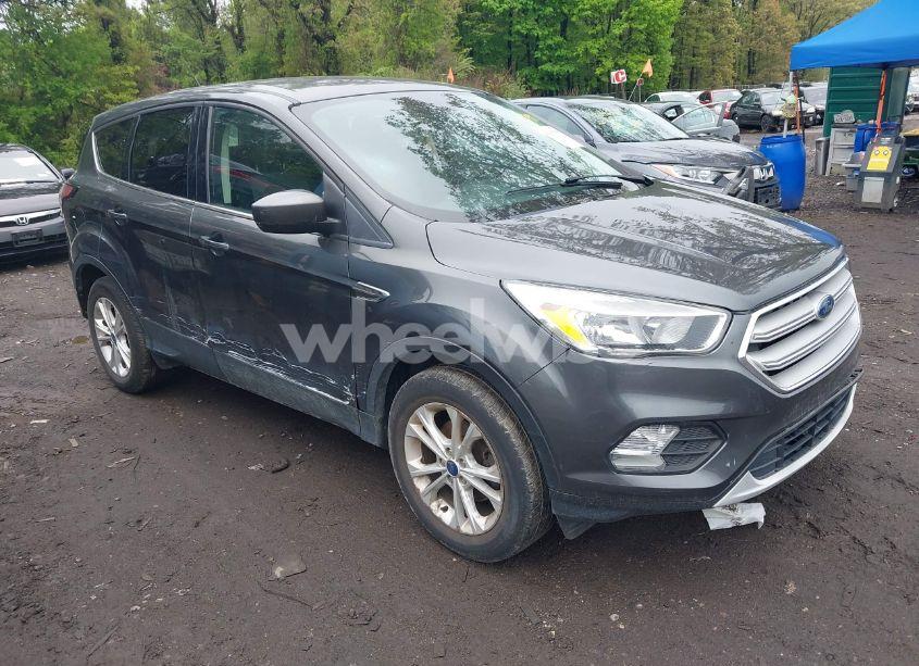 2019 Ford Escape SE (VIN 1FMCU0GD4KUB95005) main photo