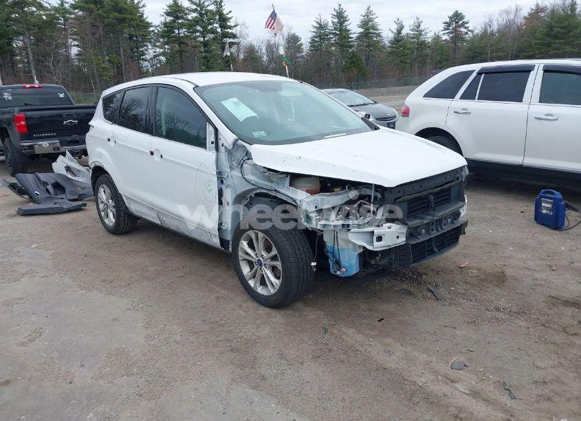 2019 Ford Escape SE (VIN 1FMCU0GD4KUC35521) main photo