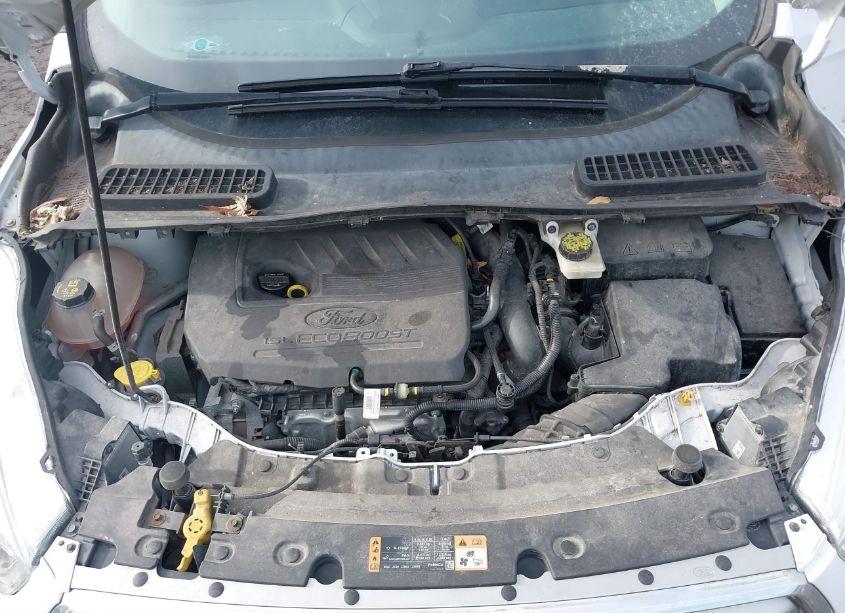 Photo 10 of 2017 Ford Escape SE (VIN 1FMCU0GD5HUD19159)