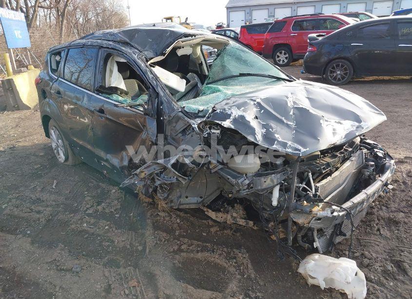 2019 Ford Escape SE (VIN 1FMCU0GD5KUA04482) main photo