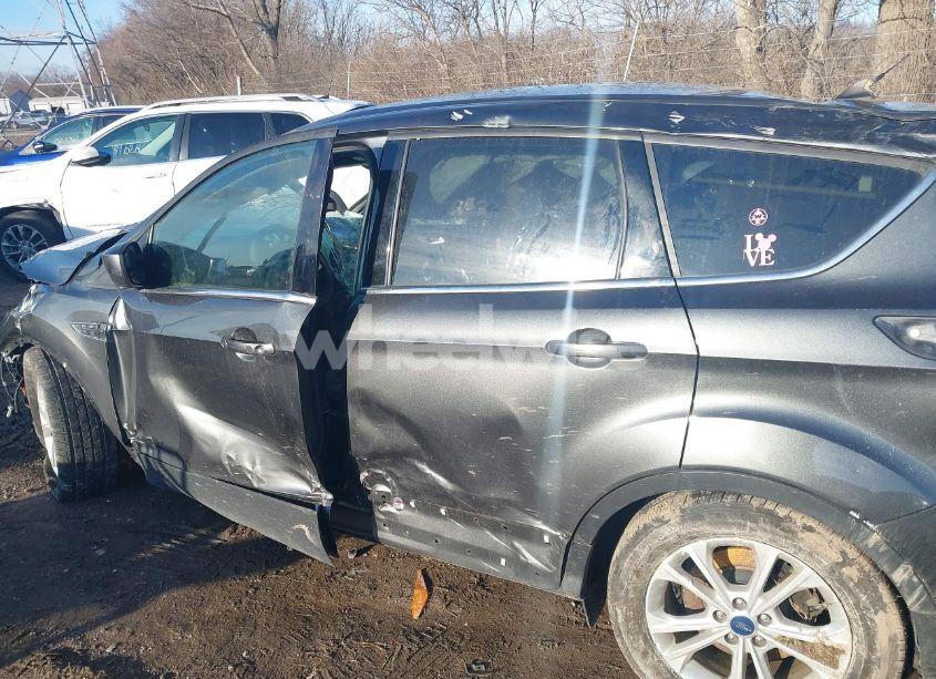 Photo 14 of 2019 Ford Escape SE (VIN 1FMCU0GD5KUA04482)