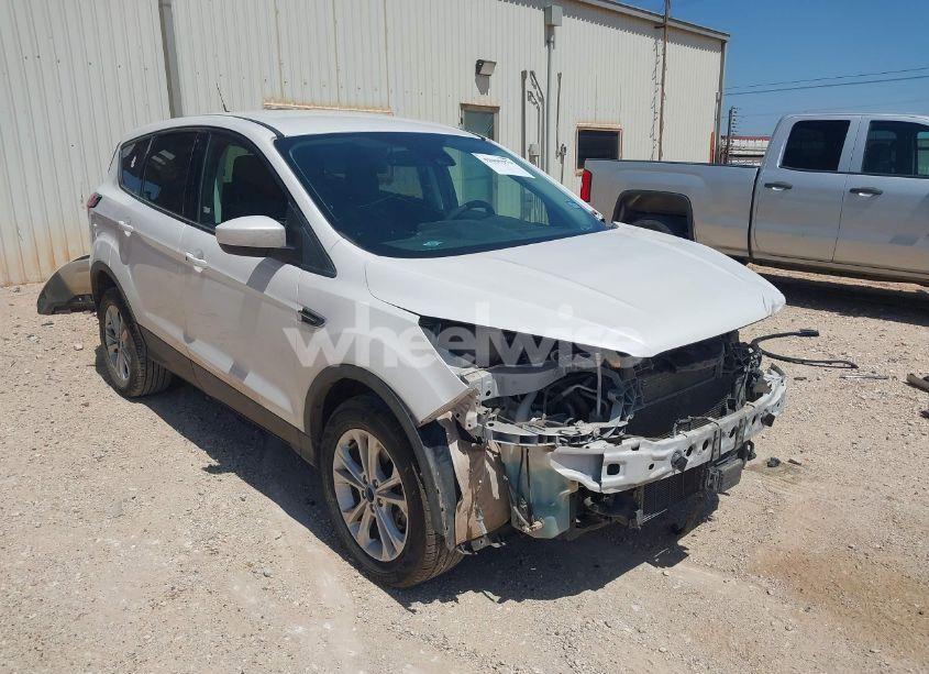 2019 Ford Escape SE (VIN 1FMCU0GD5KUA56050) main photo