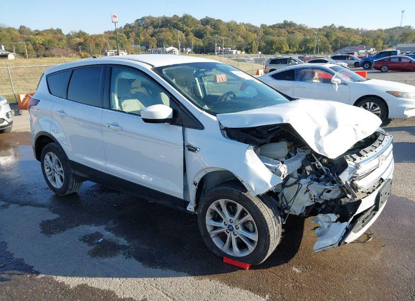 2019 Ford Escape SE (VIN 1FMCU0GD5KUB10771) main photo