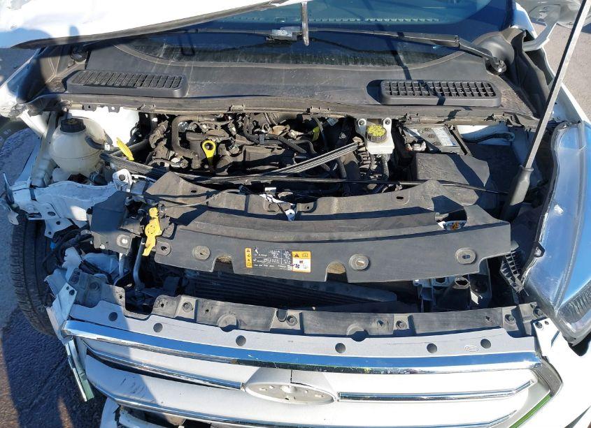 Photo 10 of 2019 Ford Escape SE (VIN 1FMCU0GD5KUB10771)