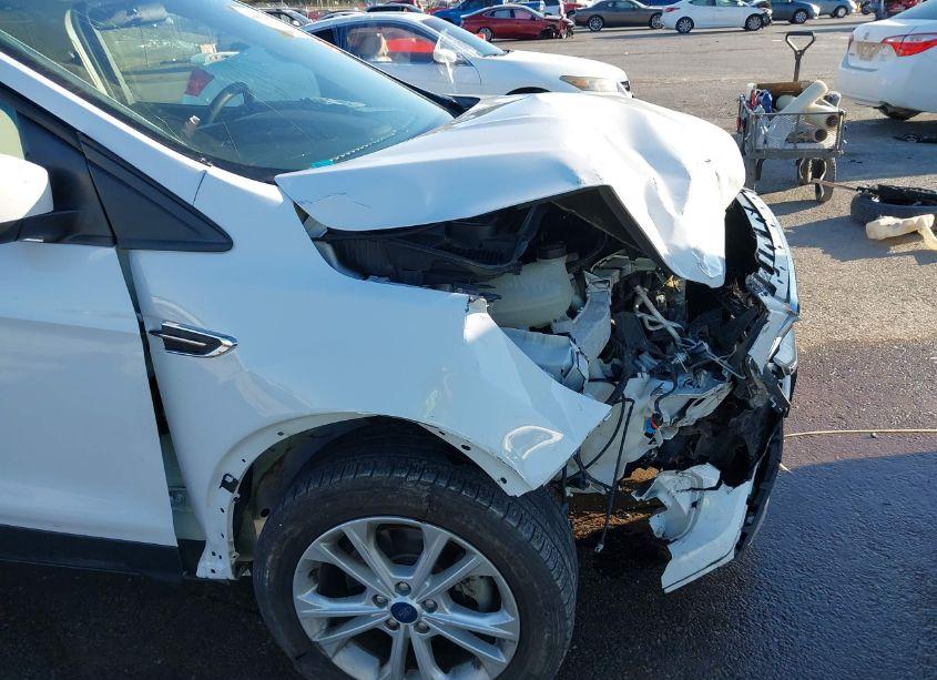 Photo 17 of 2019 Ford Escape SE (VIN 1FMCU0GD5KUB10771)