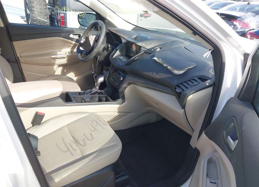 Photo 5 of 2019 Ford Escape SE (VIN 1FMCU0GD5KUB10771)