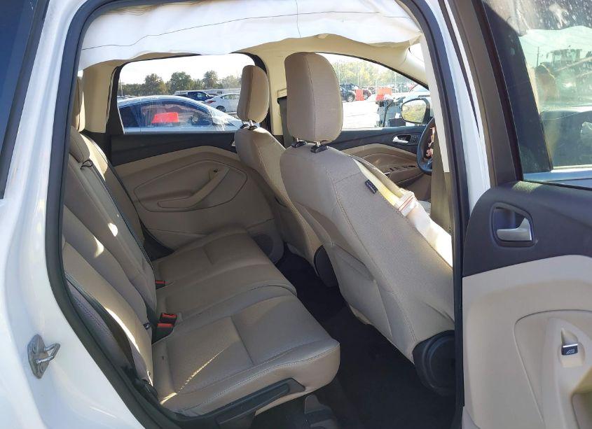 Photo 8 of 2019 Ford Escape SE (VIN 1FMCU0GD5KUB10771)