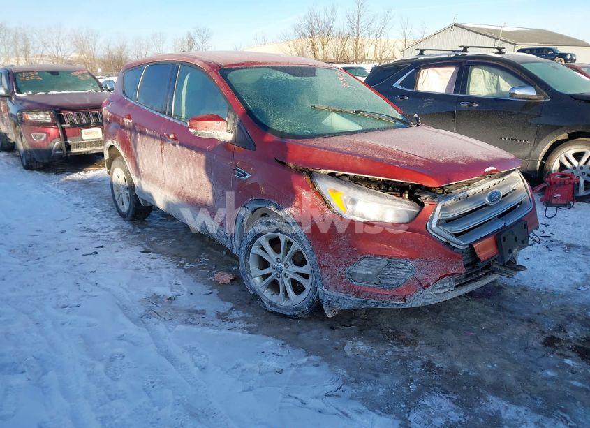 2019 Ford Escape SE (VIN 1FMCU0GD5KUB23228) main photo