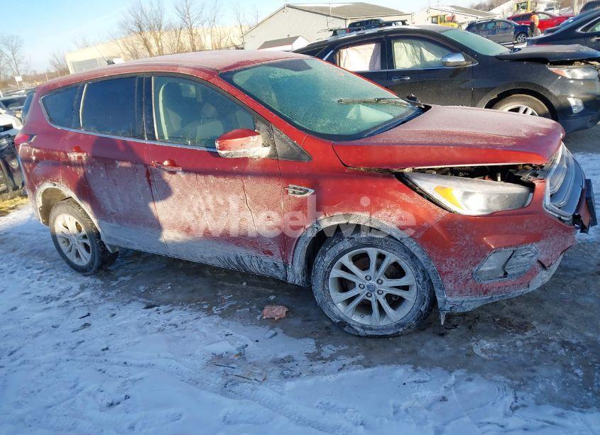 Photo 14 of 2019 Ford Escape SE (VIN 1FMCU0GD5KUB23228)