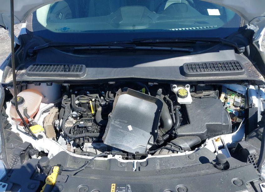 Photo 10 of 2019 Ford Escape SE (VIN 1FMCU0GD5KUB33161)