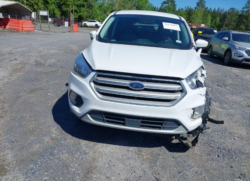 Photo 13 of 2019 Ford Escape SE (VIN 1FMCU0GD5KUB33161)
