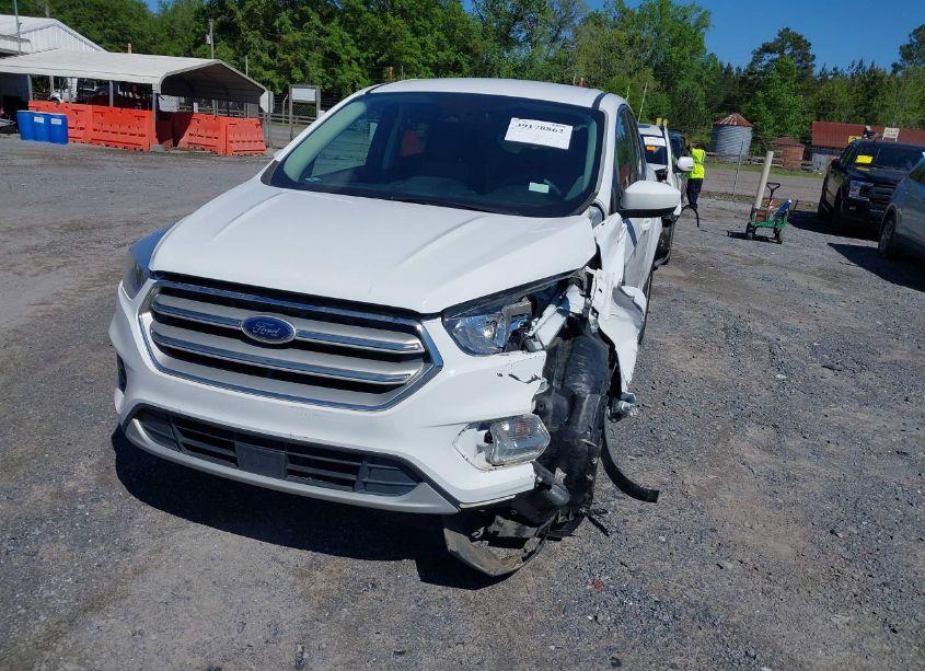 Photo 18 of 2019 Ford Escape SE (VIN 1FMCU0GD5KUB33161)
