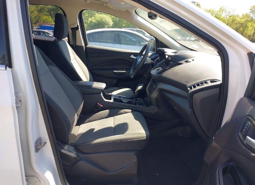 Photo 5 of 2019 Ford Escape SE (VIN 1FMCU0GD5KUB33161)