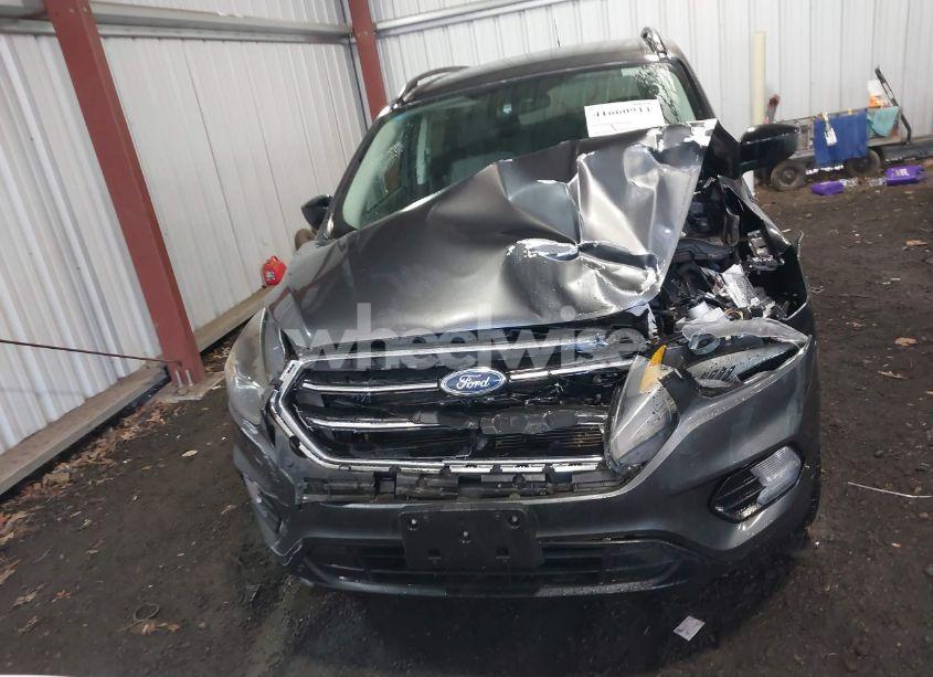 Photo 12 of 2019 Ford Escape SE (VIN 1FMCU0GD5KUB75653)