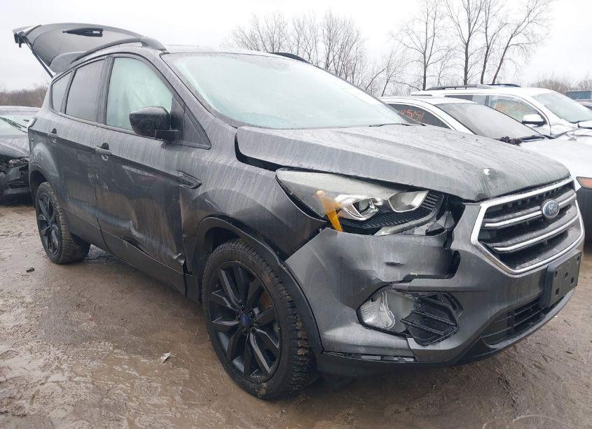 2017 Ford Escape SE (VIN 1FMCU0GD6HUC77228) main photo