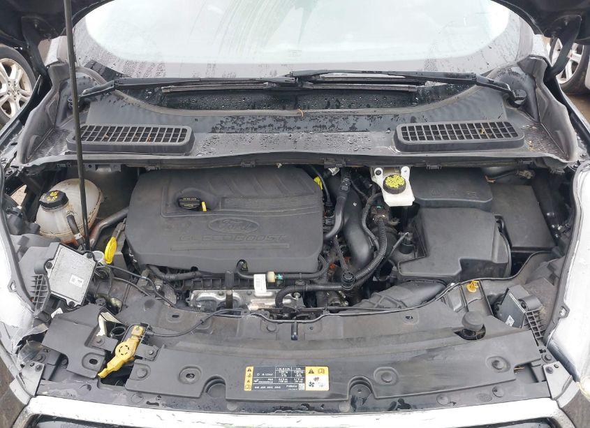 Photo 10 of 2017 Ford Escape SE (VIN 1FMCU0GD6HUC77228)