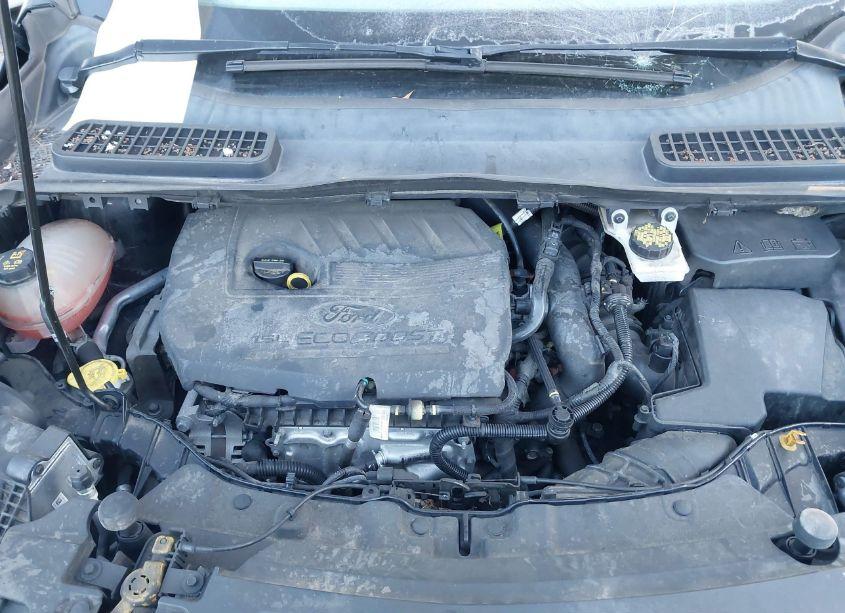 Photo 10 of 2017 Ford Escape SE (VIN 1FMCU0GD6HUD92248)