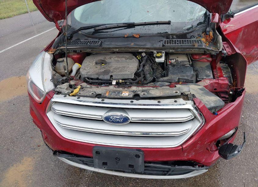 Photo 10 of 2018 Ford Escape SE (VIN 1FMCU0GD6JUB12284)