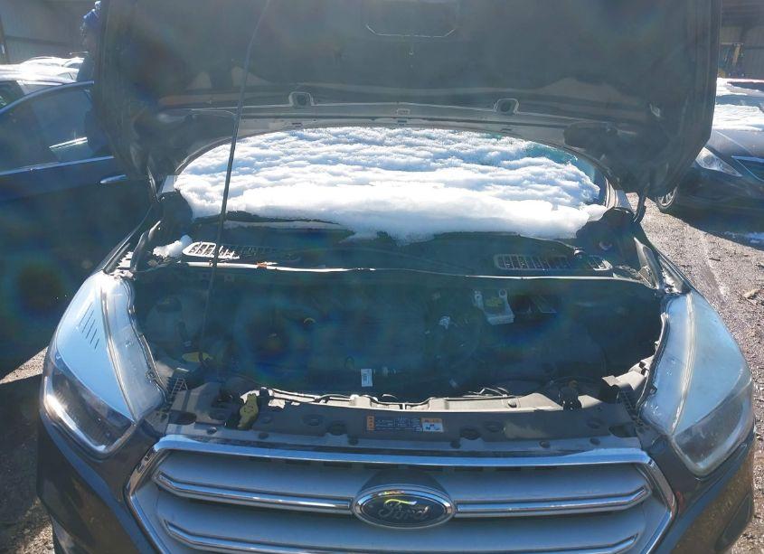 Photo 10 of 2018 Ford Escape SE (VIN 1FMCU0GD6JUC12529)