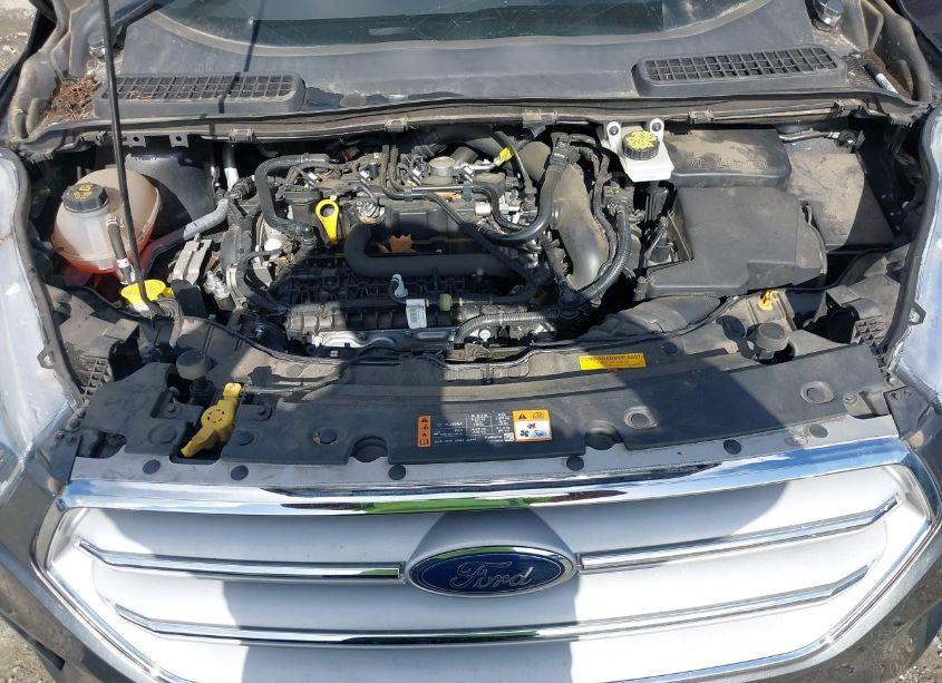 Photo 10 of 2019 Ford Escape SE (VIN 1FMCU0GD6KUA10601)