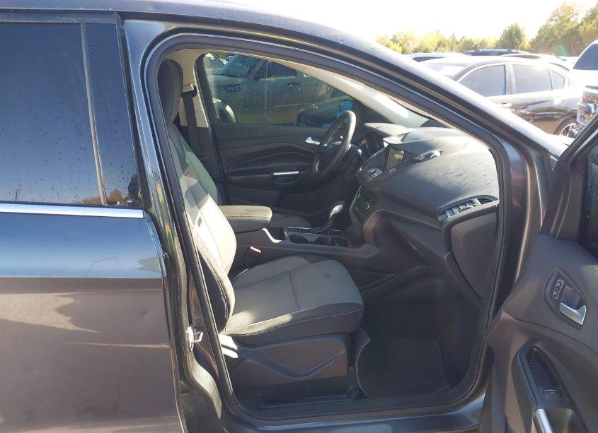 Photo 5 of 2019 Ford Escape SE (VIN 1FMCU0GD6KUB57341)