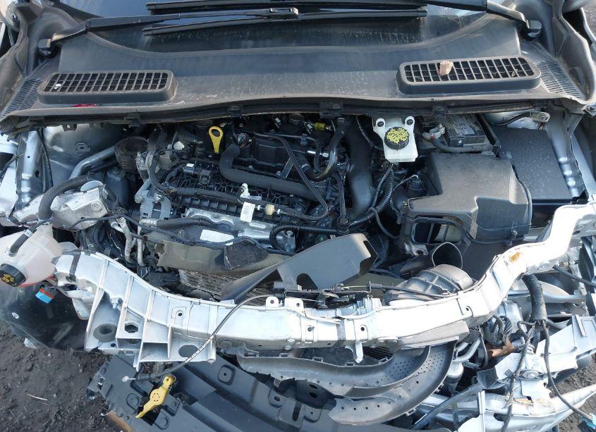 Photo 10 of 2019 Ford Escape SE (VIN 1FMCU0GD6KUB80814)