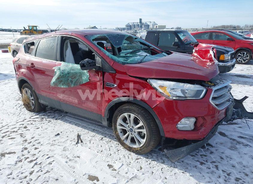 2019 Ford Escape SE (VIN 1FMCU0GD6KUC54314) main photo