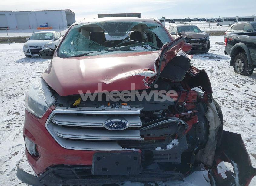 Photo 12 of 2019 Ford Escape SE (VIN 1FMCU0GD6KUC54314)