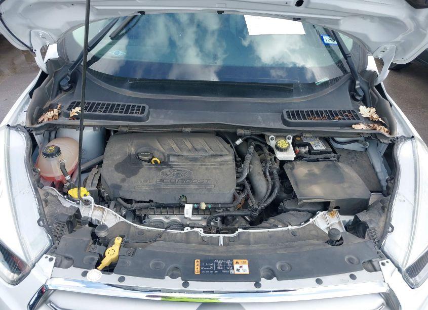 Photo 10 of 2018 Ford Escape SE (VIN 1FMCU0GD7JUD04216)