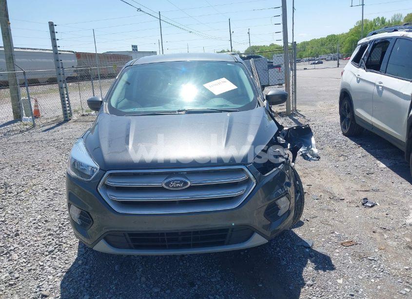 Photo 12 of 2019 Ford Escape SE (VIN 1FMCU0GD7KUA49858)
