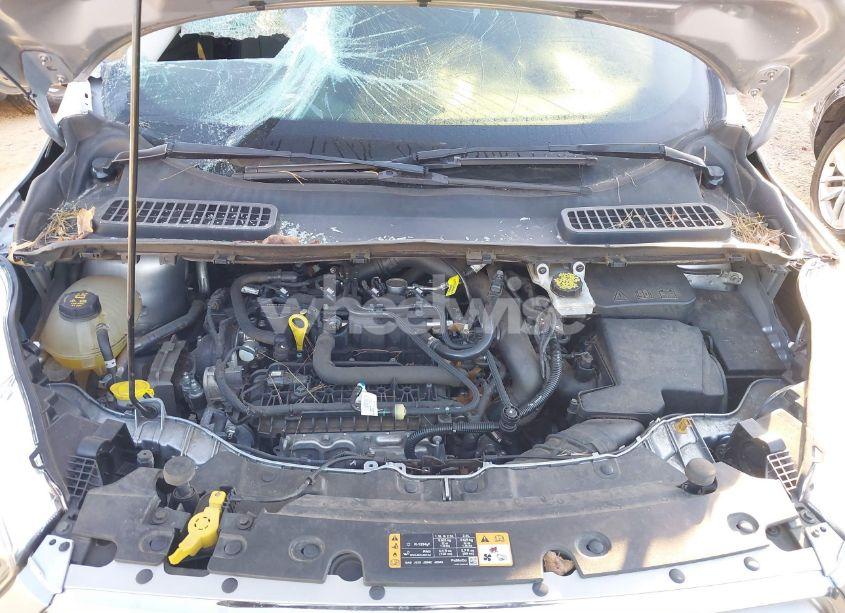 Photo 10 of 2019 Ford Escape SE (VIN 1FMCU0GD7KUB45277)