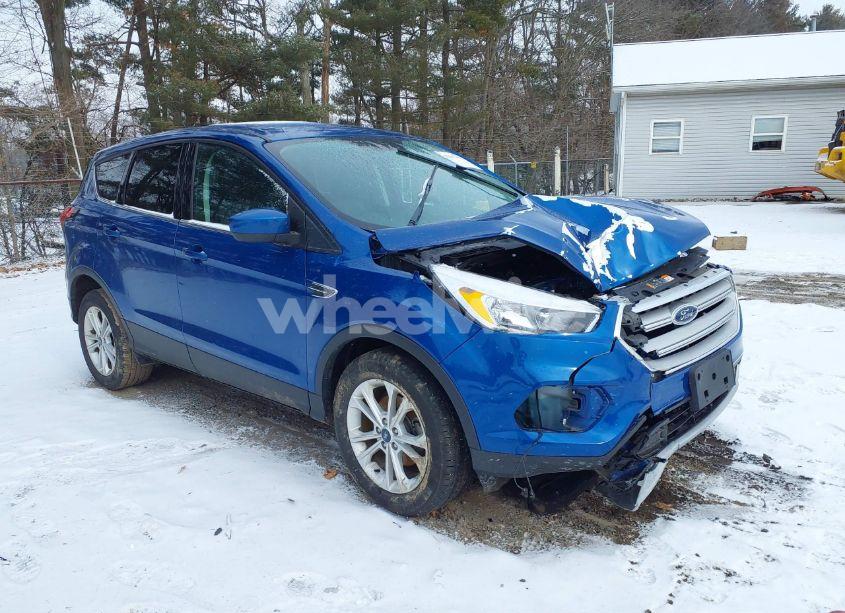 2019 Ford Escape SE (VIN 1FMCU0GD7KUB51838) main photo