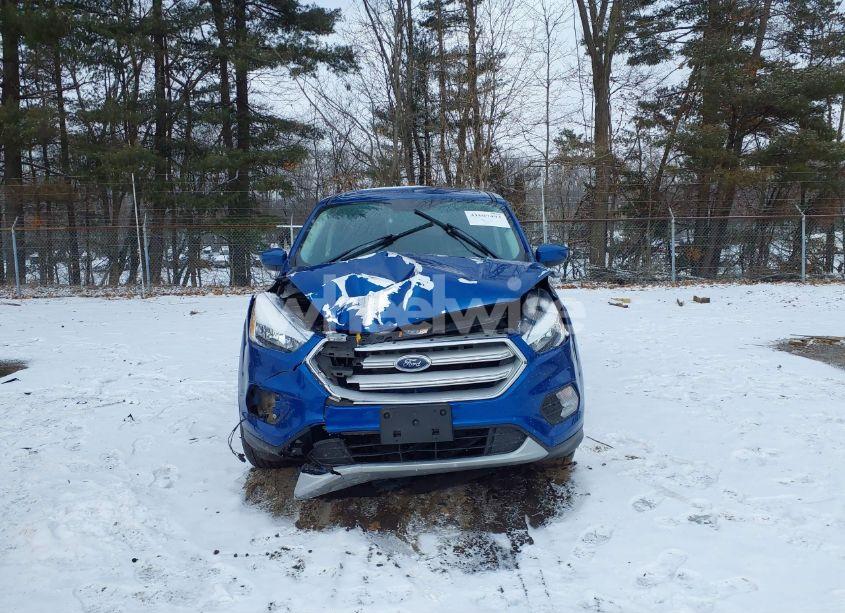 Photo 12 of 2019 Ford Escape SE (VIN 1FMCU0GD7KUB51838)