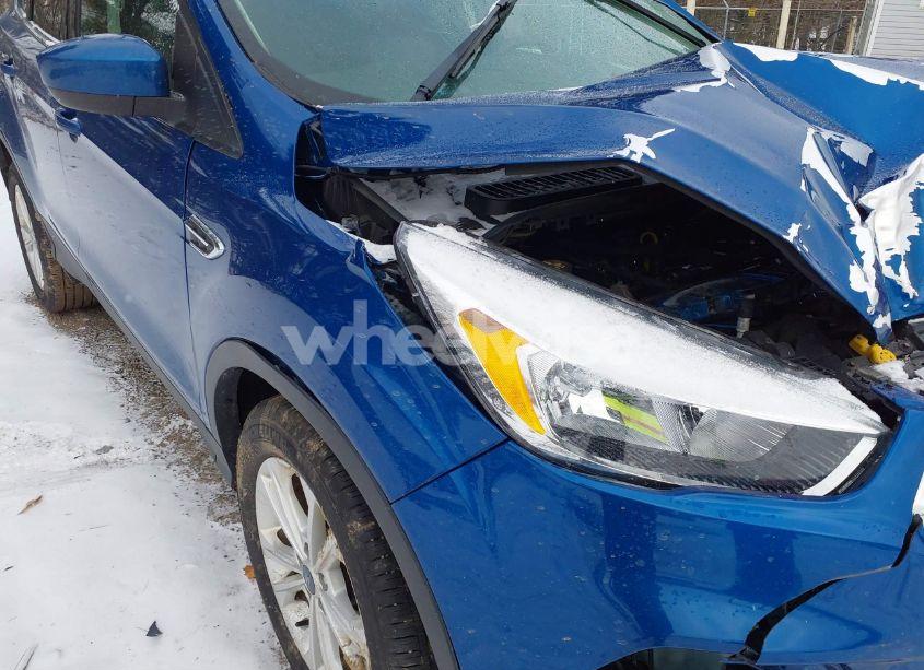 Photo 18 of 2019 Ford Escape SE (VIN 1FMCU0GD7KUB51838)