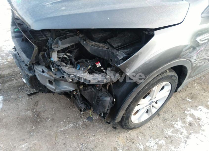 Photo 19 of 2019 Ford Escape SE (VIN 1FMCU0GD7KUC35531)