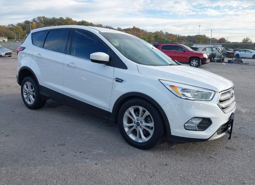 2019 Ford Escape SE (VIN 1FMCU0GD7KUC36971) main photo