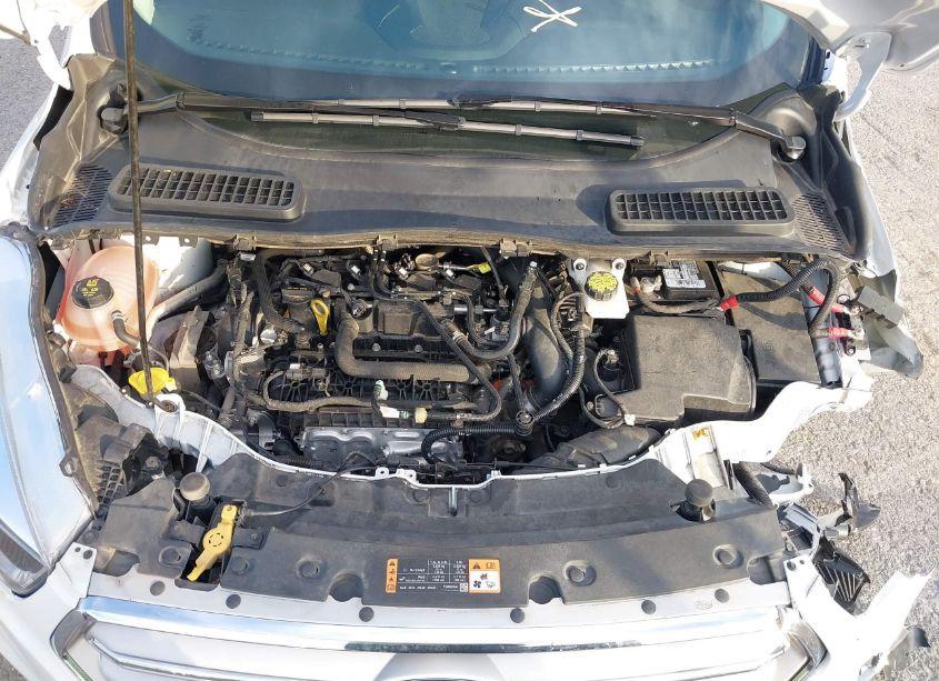 Photo 10 of 2019 Ford Escape SE (VIN 1FMCU0GD7KUC36971)