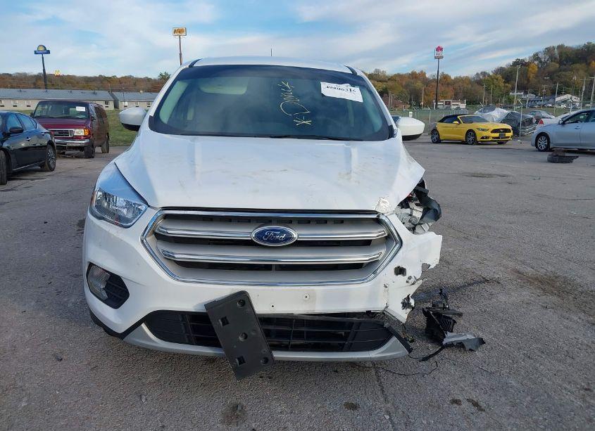 Photo 12 of 2019 Ford Escape SE (VIN 1FMCU0GD7KUC36971)